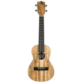 Resim Kala Spalted Akçaağaç Concert Ukulele 