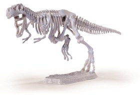 Resim Simba Dino İskelet Kazı Seti T-Rex 104342547 