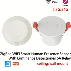 Resim ZigBee3.0/Wifi 24G MmWave Radar İnsan Varlığı Hareket Sensörü Işık Anahtarı için Parlaklık Algılama 110/220V 