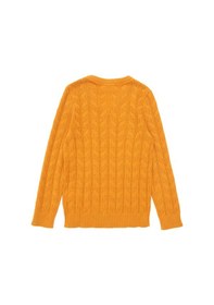 Resim U.S. Polo Assn. Erkek Çocuk Hardal Basic V Yaka Kazak 50293535-VR072 