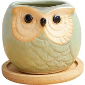 Resim Moveevo Yeşil Şirali Minik Fincan: Seramik Baykuş Desenli Çiçek Saksısı Ahşap Tabanlı Dekoratif Oda Süsü 