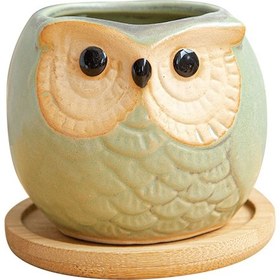 Resim Moveevo Yeşil Şirali Minik Fincan: Seramik Baykuş Desenli Çiçek Saksısı Ahşap Tabanlı Dekoratif Oda Süsü 