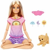 Resim Nessiworld Barbie Meditasyon Yapıyor Oyun Seti HHX64 