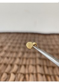 Resim Gerçek Titanium G23 Shell Altın Titanyum 7x1.2mm Bedenilabret Piercing Altın 
