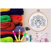 Resim Punch Seti Nakış Seti Kasnaklı Kendin Yap Seti Seri 13 