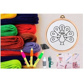 Resim Punch Seti Nakış Seti Kasnaklı Kendin Yap Seti Seri 13 