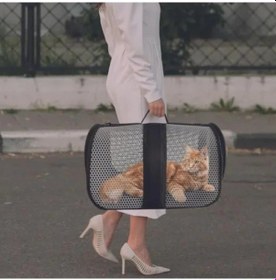 Resim Havalı Pvc Kedi Taşıma Çantası, Uçak Seyahatine Uygun 