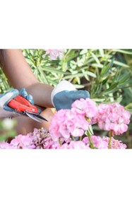 Resim Raftantopla ® Çok Amaçlı Bahçe Makası 