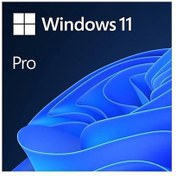 Resim MS WINDOWS 11 PRO TR KUTU HAV-00159 