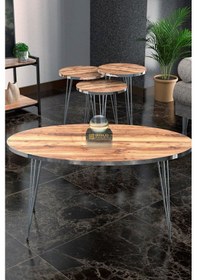 Resim Zigon Sehpa Ve Orta Sehpa Elips Set Gümüş Ceviz Tel Diğer 