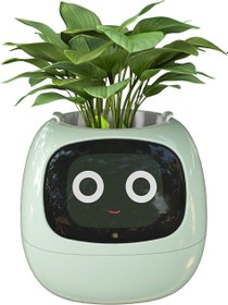 Resim Masdio Ivy AI Yapay Zeka Destekli Akıllı Saksı Yeşil 