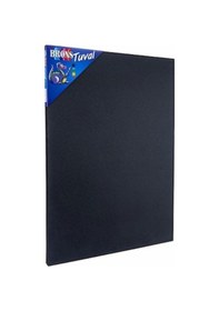 Resim Brons Siyah Tuval 25X35Cm 