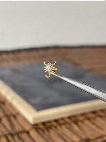 Resim Yüksek Kalite G23 Akrep Zirkon Altın Titanyum 6 X 1.2 MM Labret Piercing Altın 