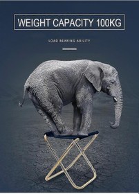 Resim Bloomnest Katlanır Balıkçı Sandalyesi - Hafif Piknik Kamp Sandalyesi - Alüminyum Kumaş - Taşınabilir Plaj Sandalyesi - Açık Hava Mobilyaları Altın Modeli Altın 