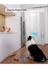 Resim Anker Eufy Security 360 Derece Dönebilen Kızılötesi Gece Görüşlü 