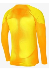 Resim Nike Dh7967-719 M Nk Dfadv Gardien Iv Gk Jsy Ls Sarı Kaleci Forması 001 