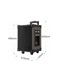 Resim Ds-910 3 Kanal Taşınabilir Şarjlı Hoparlör 