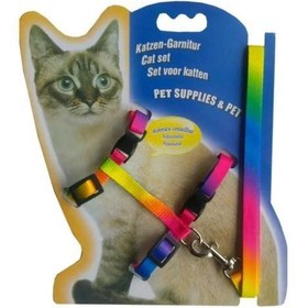 Resim Multicolor Kedi Tasması 