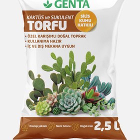 Resim Genta Kaktüs Toprağı 2.5 lt 