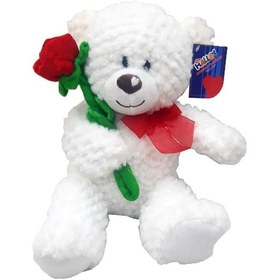 Resim Oyuncak Peluş Ayıcık 30 Cm Hediyelik Ayı - Beyaz Çok Renkli 