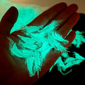 Resim Kancalarla Güncellenmiş Karanlıkta Parlayan Yem Karidesi - PVC, Bass, Kerevit, Kapör ve Daha Fazlası İçin İdeal - Gece Balıkçılığı ve Kerevit Yem İçin Mükemmel | Parlayan Yem | PVC Yem, Balıkçılık Yemleri 