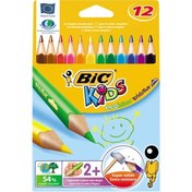 Resim Bic Kuru Boya Evolution Üçgen Jumbo 12 Lİ 829735 