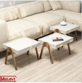 Resim Variant Roma Tepsi Zigon Sehpa Ceviz-Metalikinci(Ekru) 