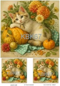 Resim LineArt Kabak Deseni Pirinç Dekopaj Kağıdı 29x42cm, KBK67 