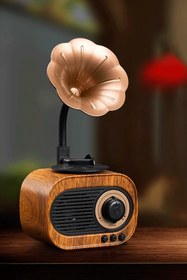 Resim Eksprespazar Nostaljik Mini Retro Gramofon Bluetooth Usb Fm Radyo Kahve Rengi 