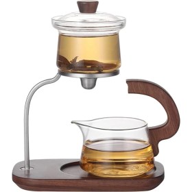 Resim PremiumPort Borosilikat Cam Japon Stili Lüks Bitki Çayı Demliği 350 ml 