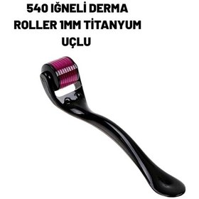 Resim Ev Tipi Mikro İğneli Cilt Bakım Aleti 1 Mm Titanyum Roller 