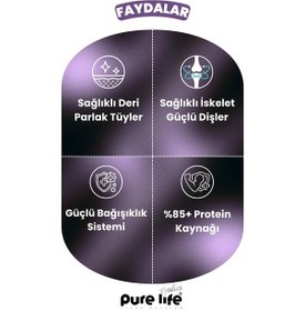 Resim Purelife Plus Stick Kuzu Etli Kedi Ödül Çubukları 6 x 15 G 