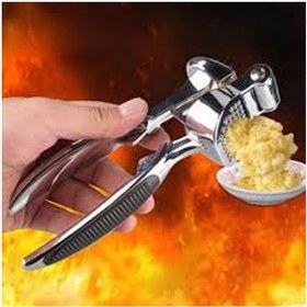 Resim Lüks Metal Sarımsak Zencefil Ezici Asorti 