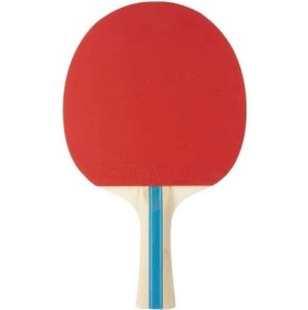 Resim Stiga Bat Instınct Hobby Masa Tenis Raketi 1210-6318-01 