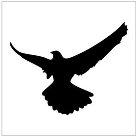 Resim Kartal Folyo Sticker Derstv744 80cm Uzunluk Siyah 