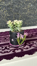 Resim NuNu By Vintage Bloom Saksılı Sukulent 
