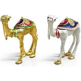 Resim Dekoratif Deve Takı Kutusu Aspr124 