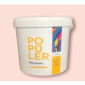 Resim Polisan Popüler Duvar Ve Tavan Boyası 3.5 Kg - Dingin Gri 