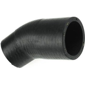 Resim RAPRO R19309 Su Pompasi Hortumu ( Mini : R50 1.4 I-1.6 I ) 11517829913 (WN898418) 
