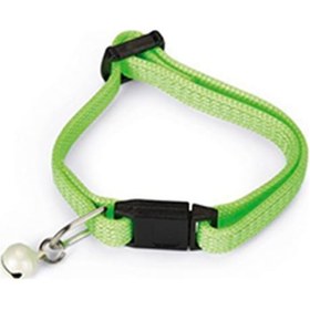 Resim Beeztees Zilli Yavru Kedi Boyun Tasması Yeşil 8 x 23 CM 