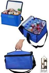 Resim Ankaflex Soğuk Tutucu Termos Çanta Kamp Piknik Oto Soğutucu Buzluk Araç Serin Tutucu Sepet 