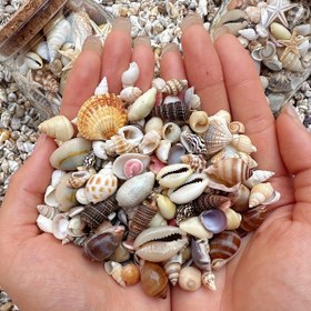 Resim El Yapımı Rüzgar Kabini Temizleme Karışıımı - Akvaryumlara, DIY Ev Dekoru, Paskalya, Anneler Günü, Sevgililer Günü için Mükemmel Hediye, Akvaryum Süslemesi|Doğal Deniz Kabuğu Süsü|El Yapımı Kalite, Deniz Kabuğu Hediyeleri 