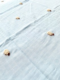 Resim Blue Lamb Muslin 