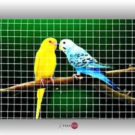 Resim Ersa Galvanizli Kaynaklı Hasır Tel 2 x 2 - 3.00 MM 100 x 200 