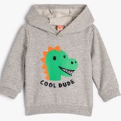 Resim Erkek Bebek Kapşonlu Sweatshirt Şardonlu Dinozor Baskılı 