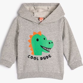 Resim Erkek Bebek Kapşonlu Sweatshirt Şardonlu Dinozor Baskılı 