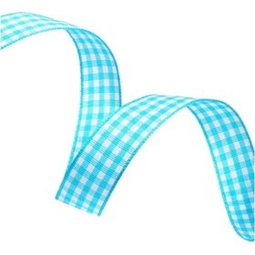 Resim Tafta Ekoseli Kurdele 25 mm Mint 2 Metre 