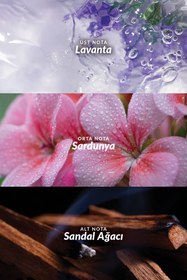 Resim Avon Wild Country ve Musk Metropolitano Erkek Parfüm Paketi 