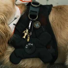 Resim Uğurlu Künyeler Pet + İnsan Aksesuarı: Babette - Fırçalanmış 