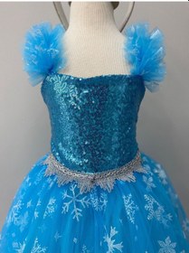 Resim Kara Kedi Kostüm Evi- Kısa Kol Elsa Kostümü Mavi 